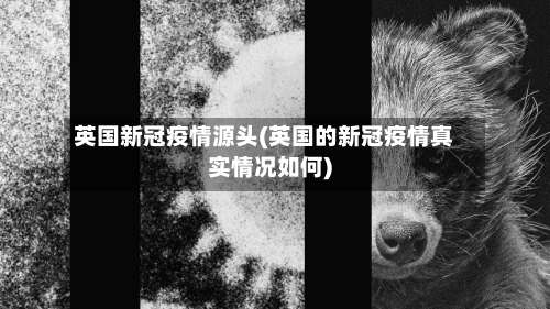 英国新冠疫情源头(英国的新冠疫情真实情况如何)-第2张图片