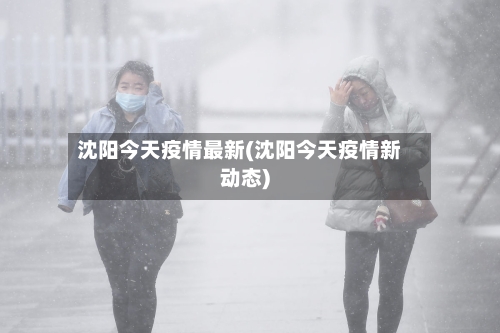 沈阳今天疫情最新(沈阳今天疫情新动态)-第1张图片