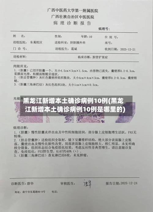 黑龙江新增本土确诊病例10例(黑龙江新增本土确诊病例10例是哪里的)-第3张图片