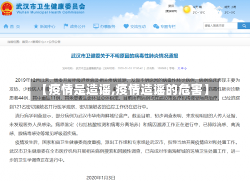 【疫情是造谣,疫情造谣的危害】-第1张图片