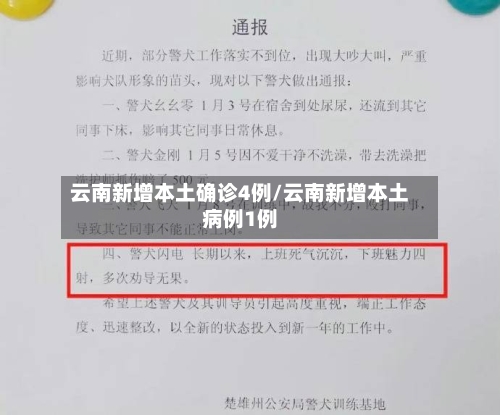 云南新增本土确诊4例/云南新增本土病例1例-第3张图片