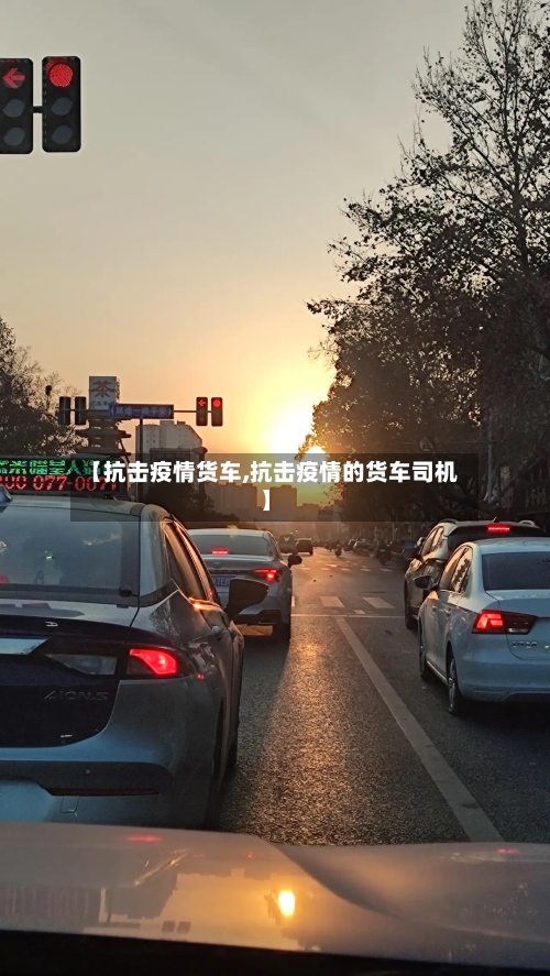 【抗击疫情货车,抗击疫情的货车司机】-第1张图片