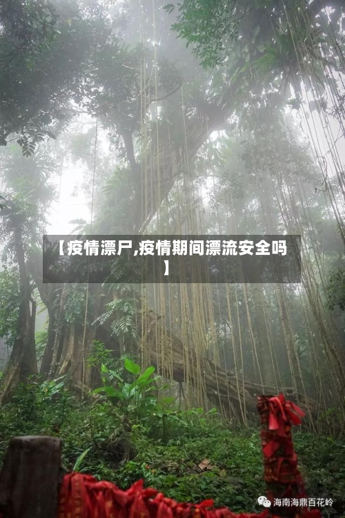 【疫情漂尸,疫情期间漂流安全吗】-第2张图片