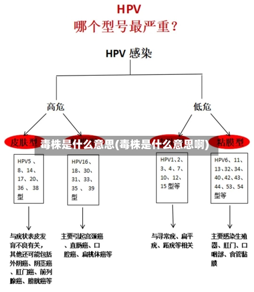 毒株是什么意思(毒株是什么意思啊)-第2张图片