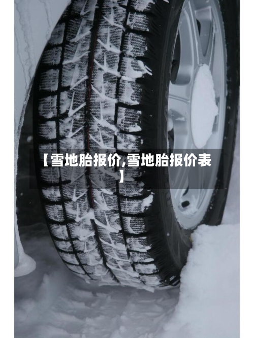 【雪地胎报价,雪地胎报价表】-第1张图片