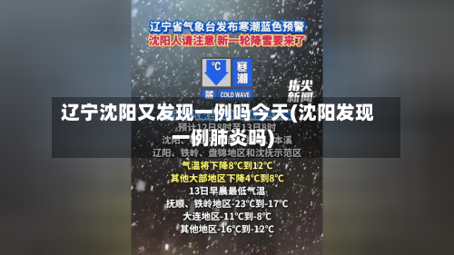 辽宁沈阳又发现一例吗今天(沈阳发现一例肺炎吗)-第2张图片