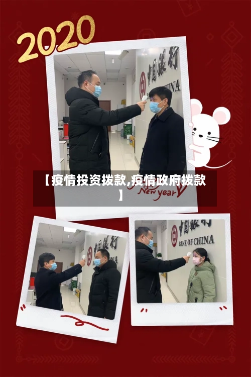 【疫情投资拨款,疫情政府拨款】-第3张图片