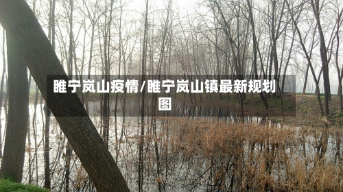 睢宁岚山疫情/睢宁岚山镇最新规划图-第1张图片