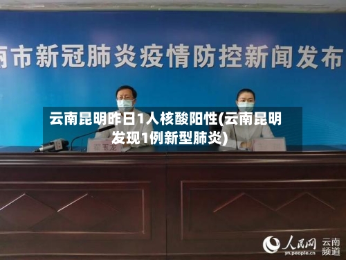 云南昆明昨日1人核酸阳性(云南昆明发现1例新型肺炎)-第2张图片