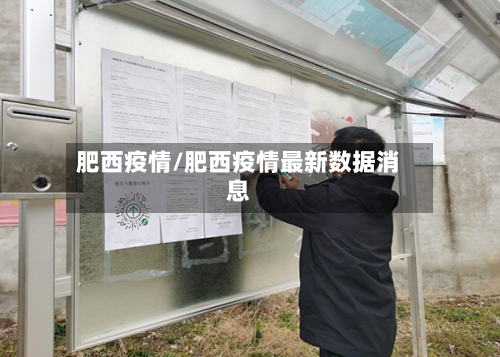 肥西疫情/肥西疫情最新数据消息-第1张图片