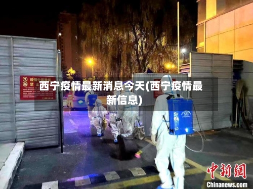 西宁疫情最新消息今天(西宁疫情最新信息)-第3张图片