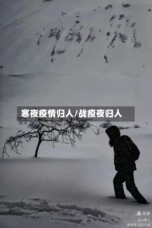 寒夜疫情归人/战疫夜归人-第1张图片