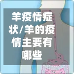 羊疫情症状/羊的疫情主要有哪些-第3张图片