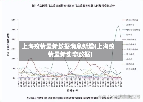 上海疫情最新数据消息新增(上海疫情最新动态数据)-第1张图片