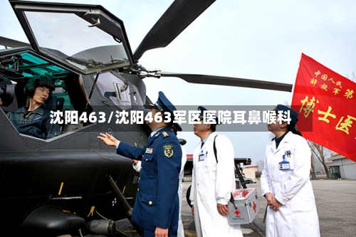 沈阳463/沈阳463军区医院耳鼻喉科-第1张图片