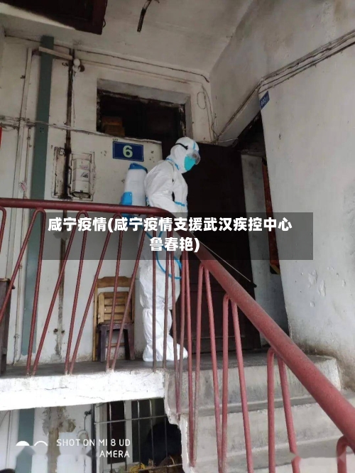 咸宁疫情(咸宁疫情支援武汉疾控中心鲁春艳)-第2张图片
