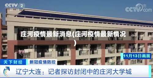 庄河疫情最新消息(庄河疫情最新情况)-第1张图片