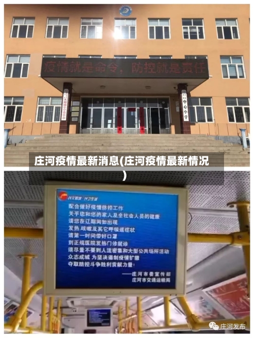 庄河疫情最新消息(庄河疫情最新情况)-第3张图片