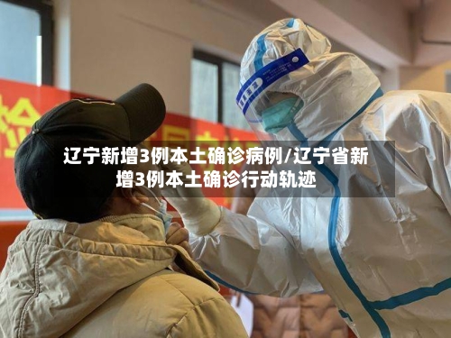 辽宁新增3例本土确诊病例/辽宁省新增3例本土确诊行动轨迹-第2张图片