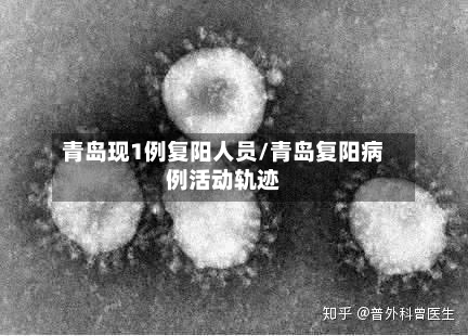 青岛现1例复阳人员/青岛复阳病例活动轨迹-第1张图片