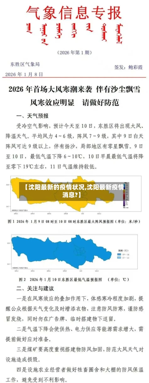 【沈阳最新的疫情状况,沈阳最新疫情消息?】-第2张图片